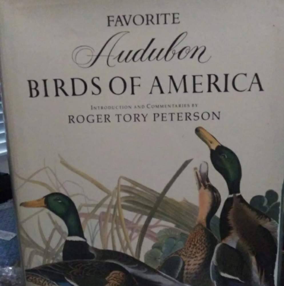 102 Favorite Audubon Birds of America with intro f